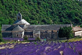 Senaque Abbey (12th cent. cistercian), one of the best preserved in the world.